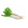 Raddish