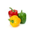 Bell Pepper Green