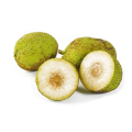 Bread Fruit