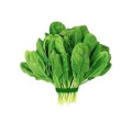 Spinach ( Niwithi)