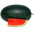 Water Melon Darkbell