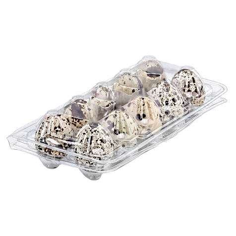 Abs Quail Eggs  10nos