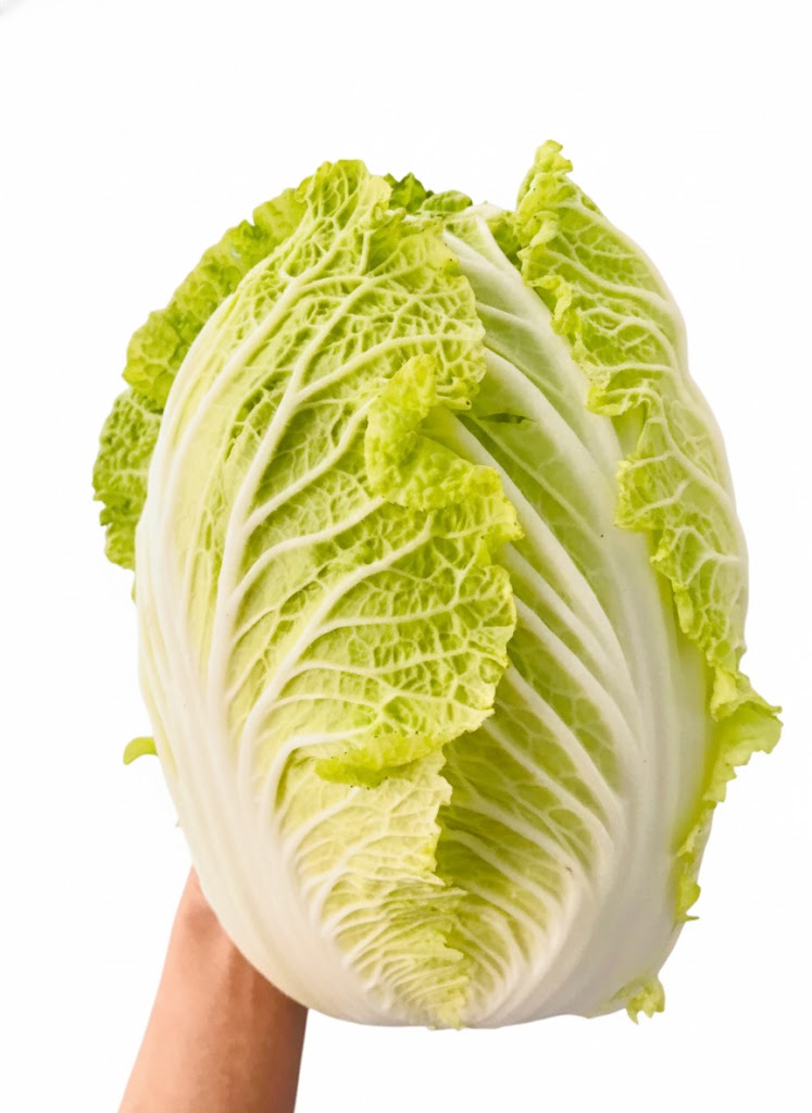 Chinese Cabbage