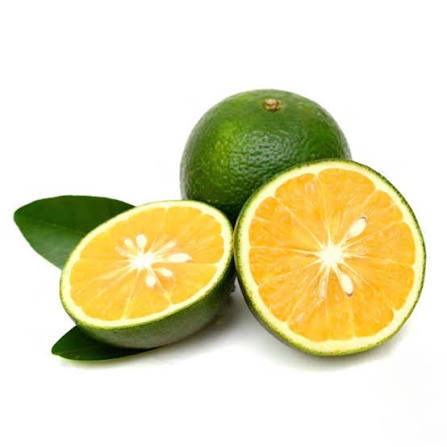 Pani Dodam